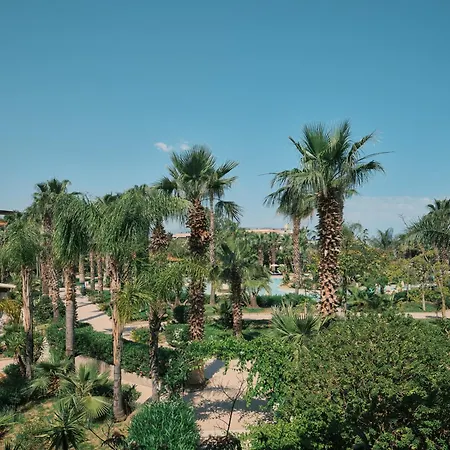 Acacia 4*