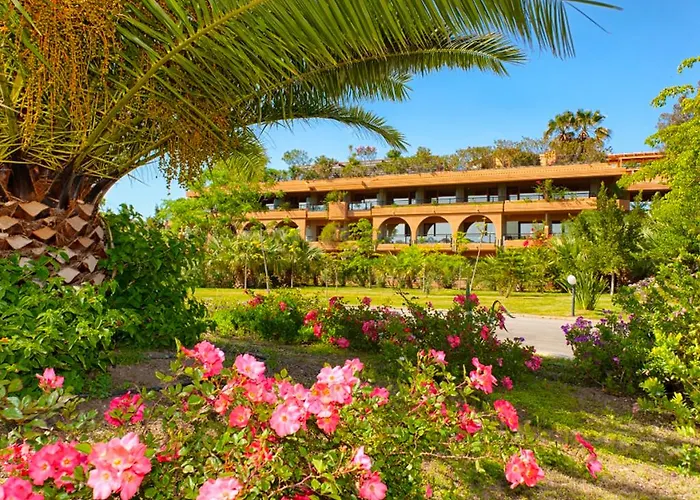 Acacia Campofelice Di Roccella